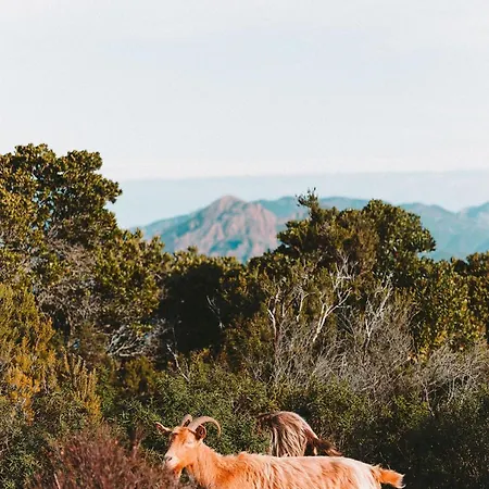 U Cavallu - Luxe Entre Et Montagne Prázdninový dům